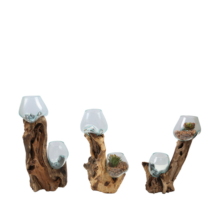Vase double en verre 15 cm sur bois de racine