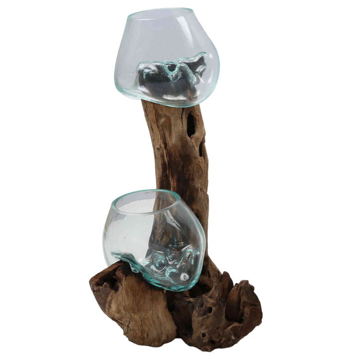 Vase double en verre 15 cm sur bois de racine
