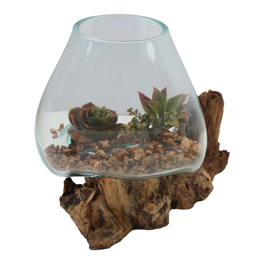 Vase en verre sur bois de racine A21