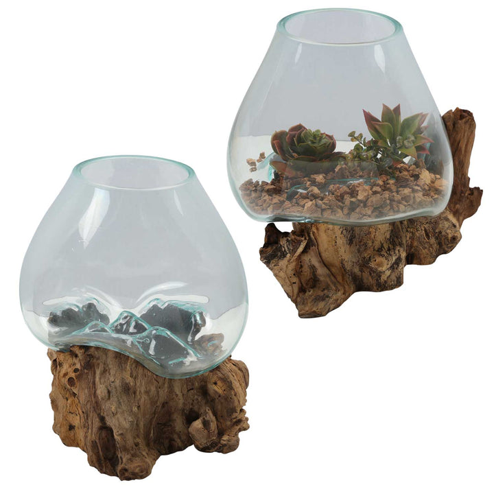Vase en verre sur bois de racine A21