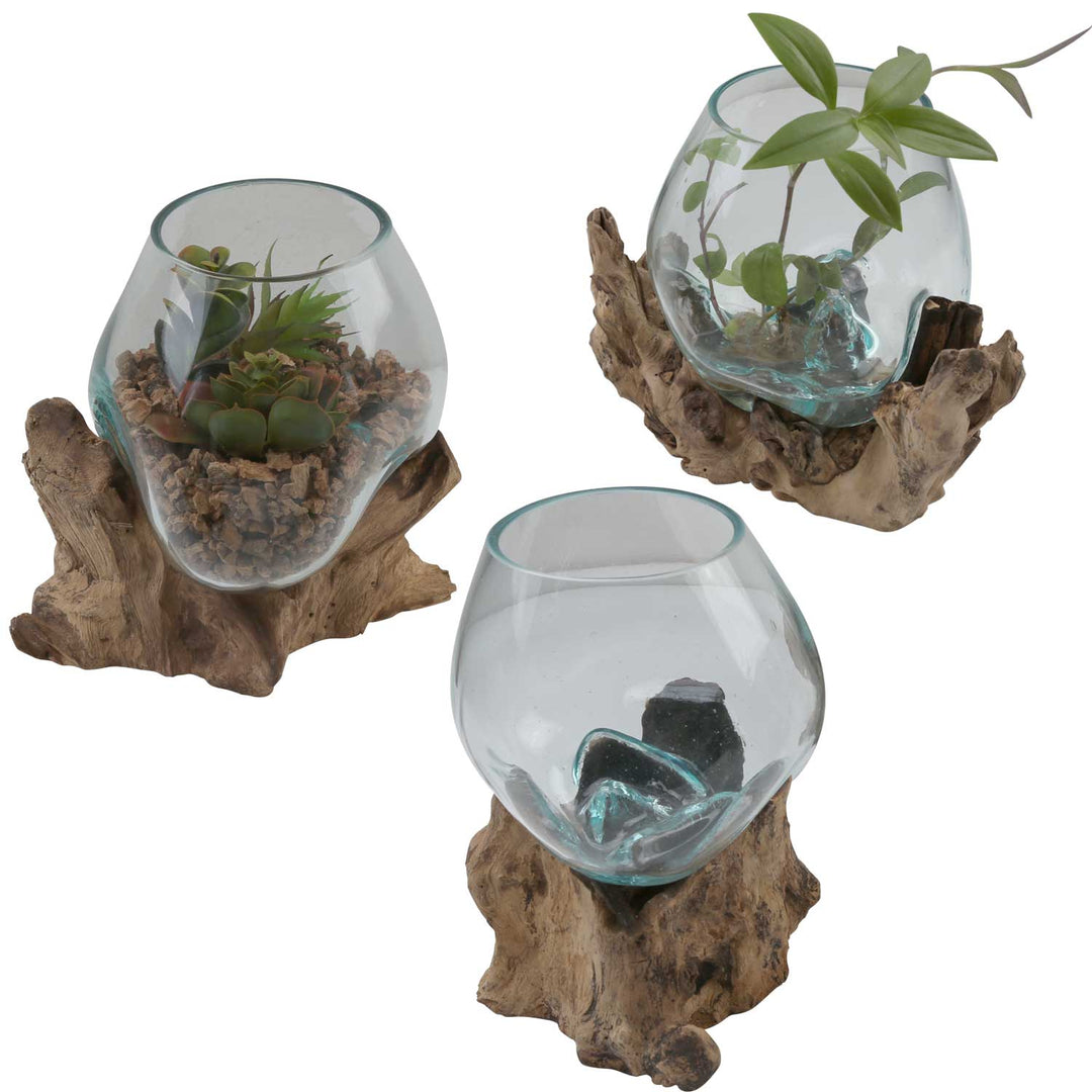 Vase en verre sur bois de racine A18