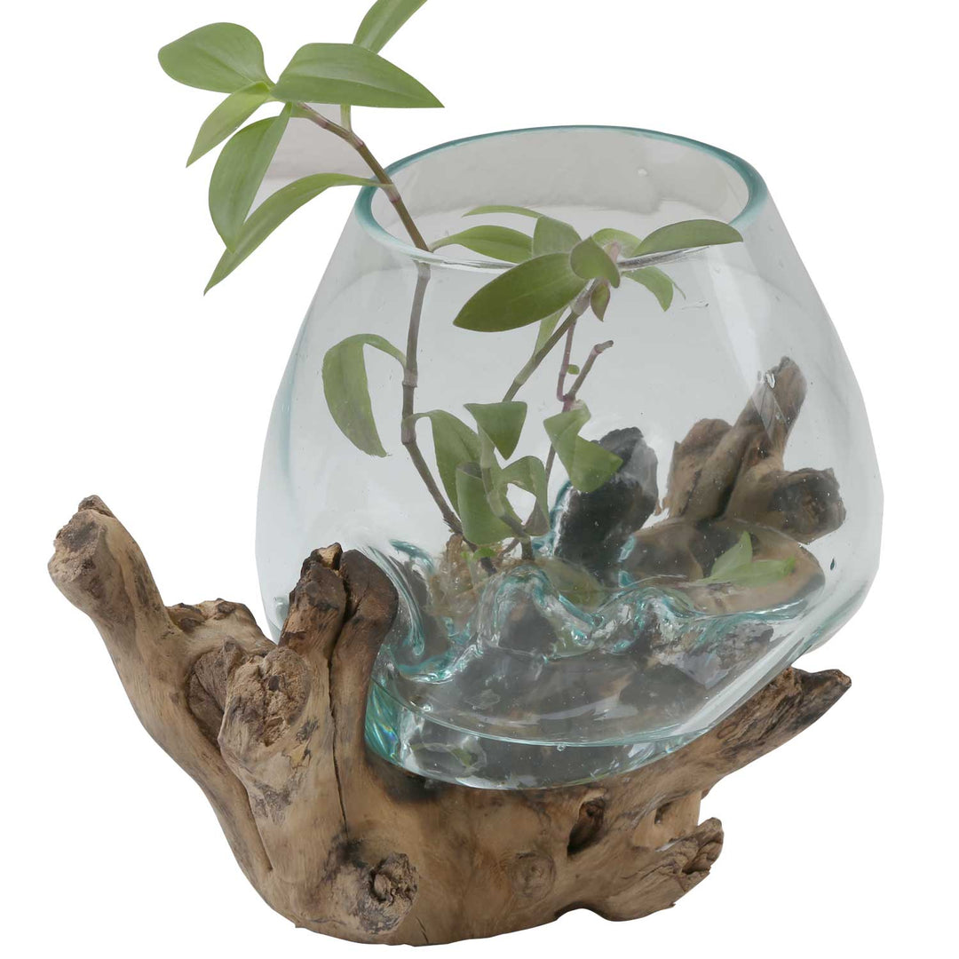 Vase en verre sur bois de racine A18