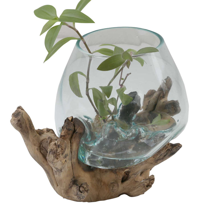 Vase en verre sur bois de racine A18