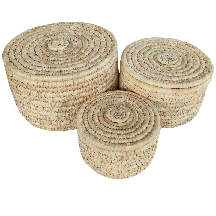 Trois paniers de rangement ronds en feuilles de palmier, munis d'un couvercle hermétique : d'une capacité de 3,5 litres, 7 litres et 15 litres.