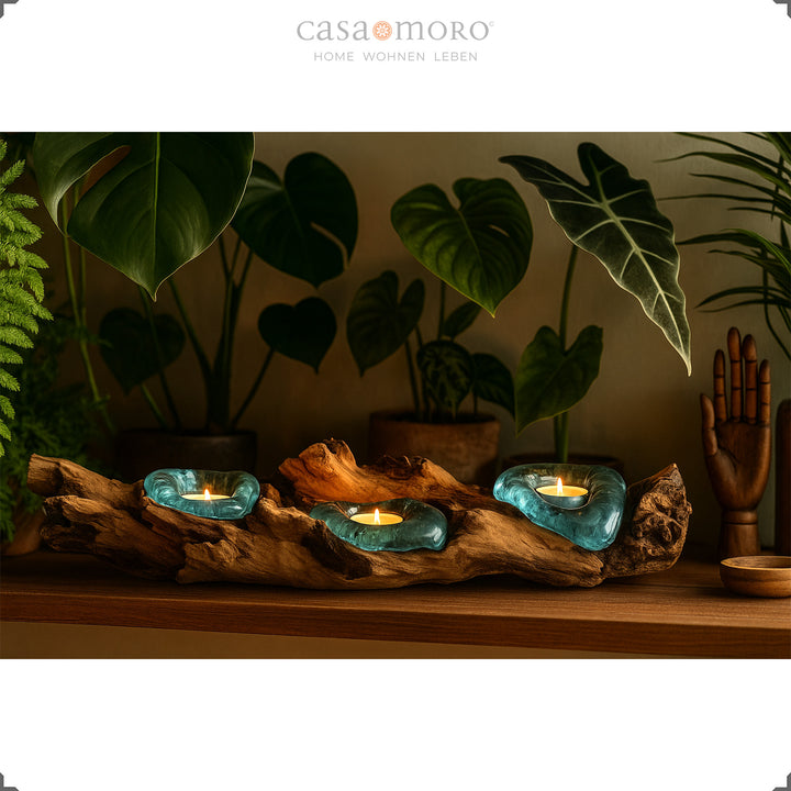 Länglicher Teelichthalter aus Glas und Wurzelholz vor üppigen Grünpflanzen, sein sanftes Licht betont die ruhige, natürliche Stimmung.