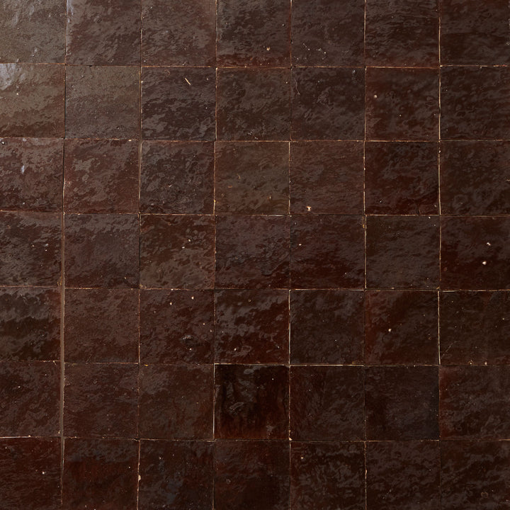 Carrelage cellulaire marron