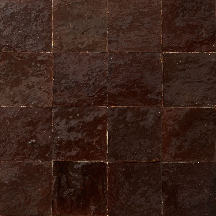 Carrelage cellulaire marron